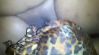 How REAL Lesbians Eat Pussy!!!